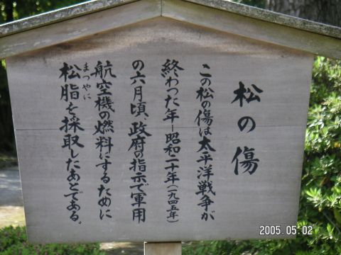 s_pict0142.jpg